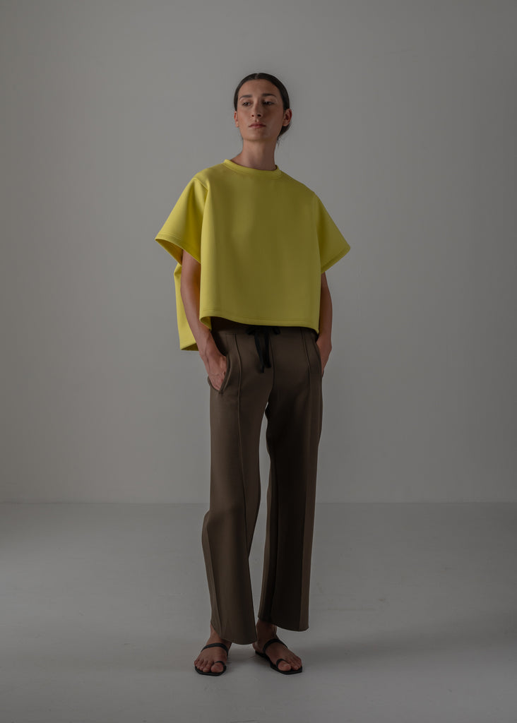 CANARY YELLOW